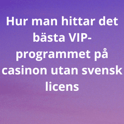 Hur man hittar det bästa VIP-programmet på casinon utan svensk licens